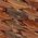 Color Swatch - Brown