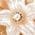 Color Swatch - Gold