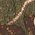 Color Swatch - Brown