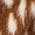 Color Swatch - Animal