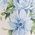 Color Swatch - Blue
