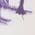 Color Swatch - Purple