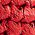 Color Swatch - Red