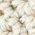 Color Swatch - Ivory