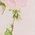 Color Swatch - Pink