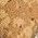 Color Swatch - Brown