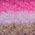 Color Swatch - Multi/Misc