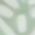 Color Swatch - Green