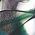 Color Swatch - Green