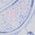 Color Swatch - Blue