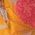 Color Swatch - Orange