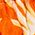 Color Swatch - Orange