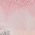 Color Swatch - Pink