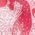Color Swatch - Pink