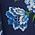 Color Swatch - Blue