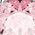 Color Swatch - Pink