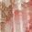 Color Swatch - Floral