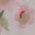 Color Swatch - Pink