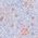 Color Swatch - Blue