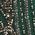 Color Swatch - Green