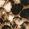Color Swatch - Brown