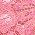 Color Swatch - Pink