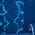 Color Swatch - Blue