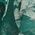 Color Swatch - Green