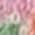 Color Swatch - Dreamland Printed
