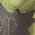 Color Swatch - Floral