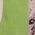 Color Swatch - Green