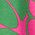 Color Swatch - Green