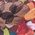 Color Swatch - Floral