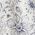 Color Swatch - Floral