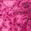 Color Swatch - Pink