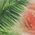 Color Swatch - Floral