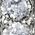 Color Swatch - Silver White CZ
