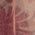 Color Swatch - Red