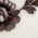 Color Swatch - Brown