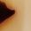 Color Swatch - Brown