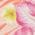 Color Swatch - Multi