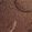 Color Swatch - Brown