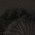 Color Swatch - Black