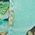 Color Swatch - Green