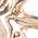 Color Swatch - Gold
