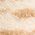 Color Swatch - Tan