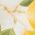 Color Swatch - Yellow