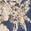 Color Swatch - Floral