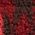 Color Swatch - Brown