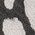 Color Swatch - Animal